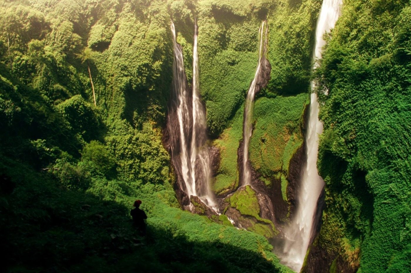 Sekumpul waterfall in the jungle
