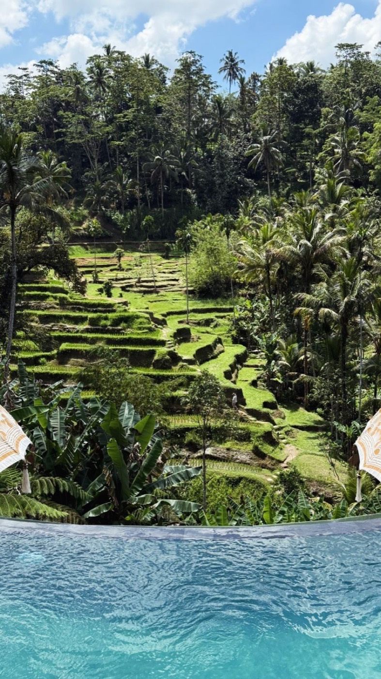 Tegallalang rice terraces, Ubud. Rice terraces seen from an infinity pool